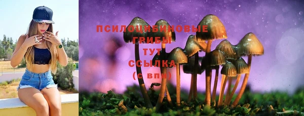 бутират Алзамай