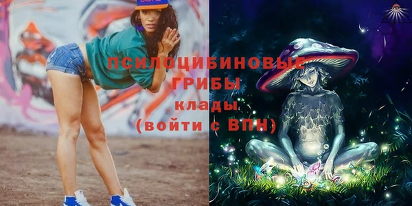 бутират Алзамай