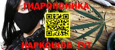 гидра Рыбинск