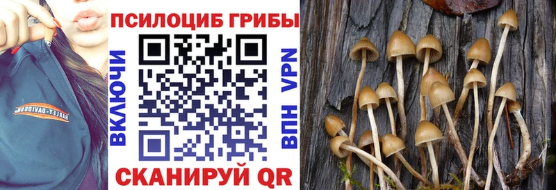 Галлюциногенные грибы GOLDEN TEACHER  ОМГ ОМГ ТОР  Петровск 