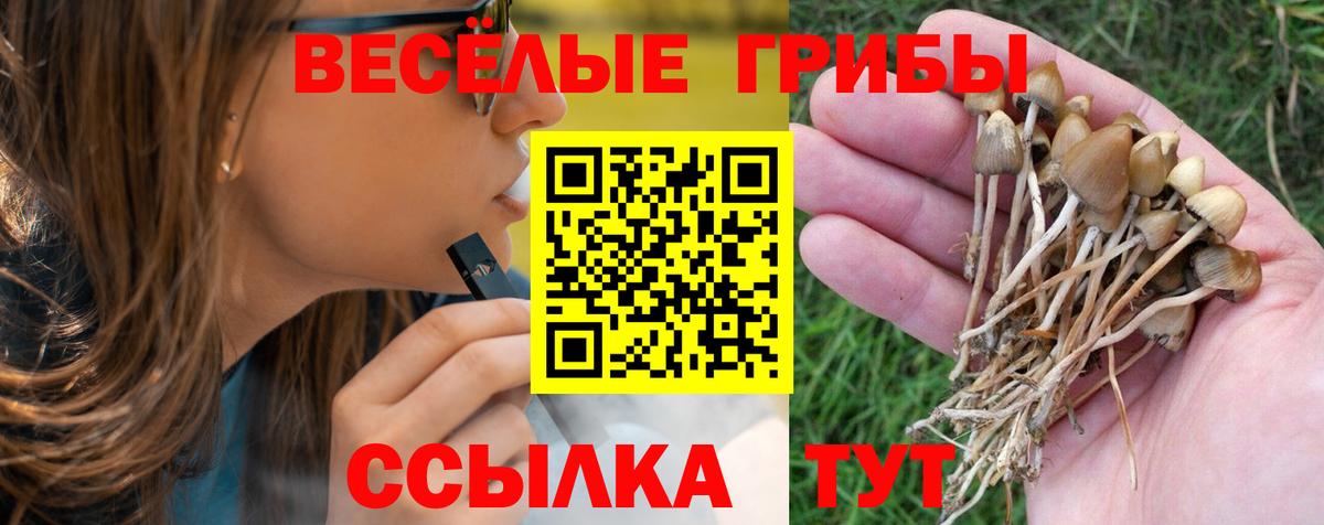 Псилоцибиновые грибы Magic Shrooms  закладки  Вход с VPN  Петровск  Псилоцибиновые грибы ЛСД 
