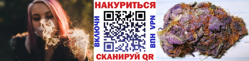 Бошки Шишки ГИДРОПОН  закладки  Петровск 